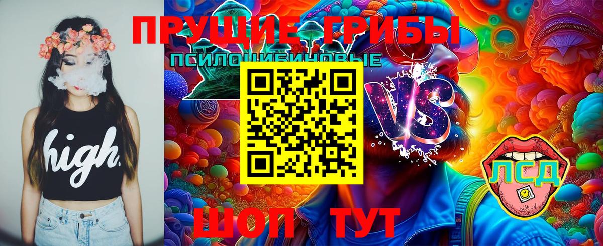 Галлюциногенные грибы Cubensis Камень-на-Оби