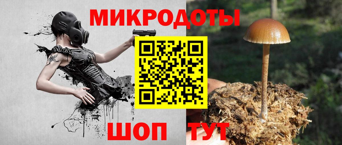 Камень-на-Оби  Псилоцибиновые грибы GOLDEN TEACHER  Псилоцибиновые грибы Psilocybine cubensis  Вход с VPN 